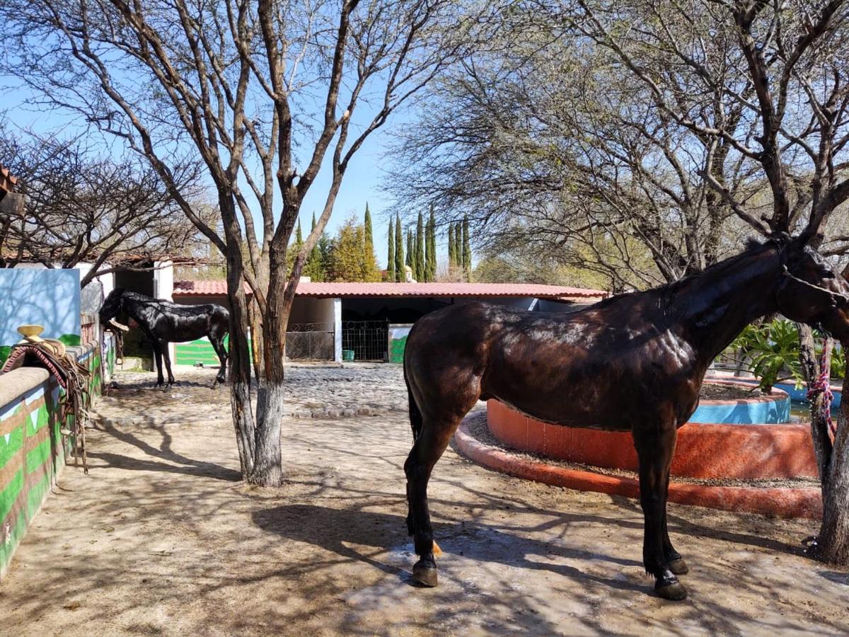 Rancho Labradores Atotonilco  Екстериор снимка